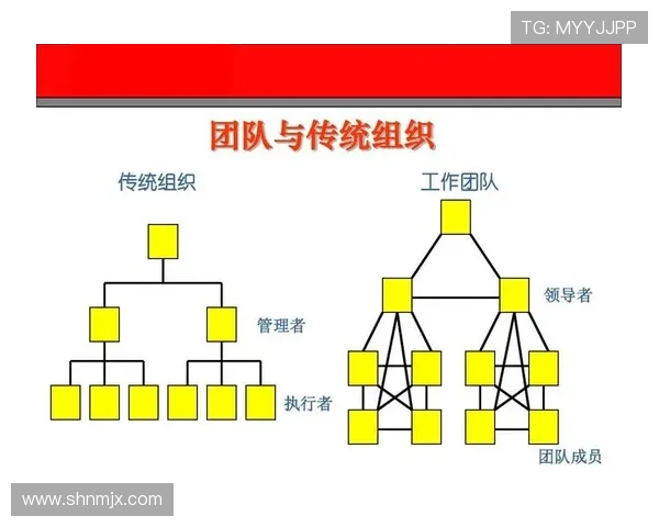 杭州篮球队总决赛精彩表现解析团队协作的重要性与影响力