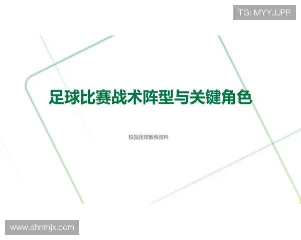 西安足球队控制体系的战术解析与实践探讨 西安足球队控制体系的战术解析与实践探讨