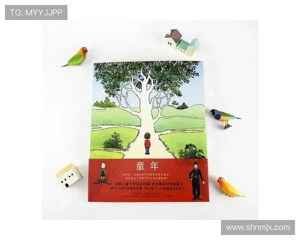 日本中二足球明星的成长之路与梦想追逐的精彩故事